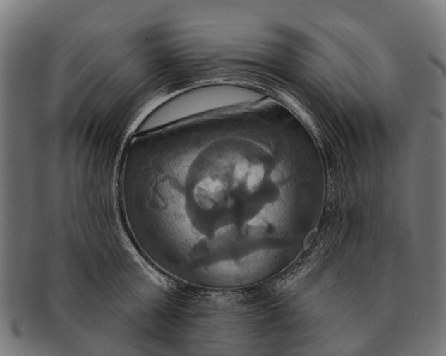 X0000091640803200709131430