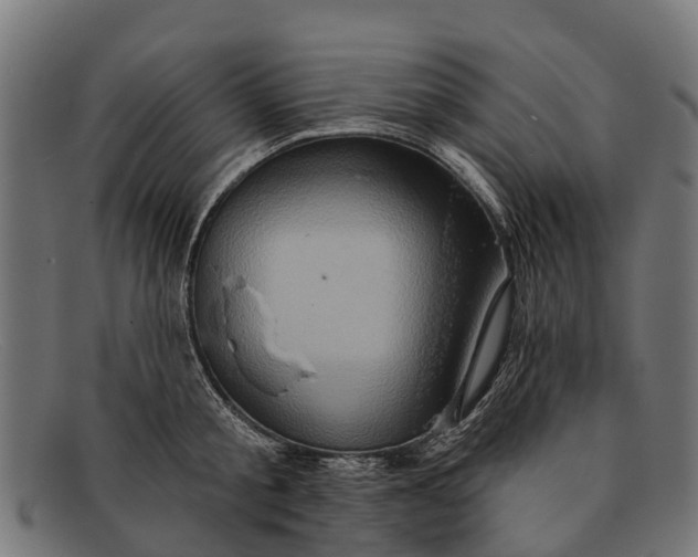 X0000091640805200709131430