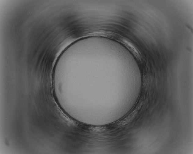 X0000091640808200709131430