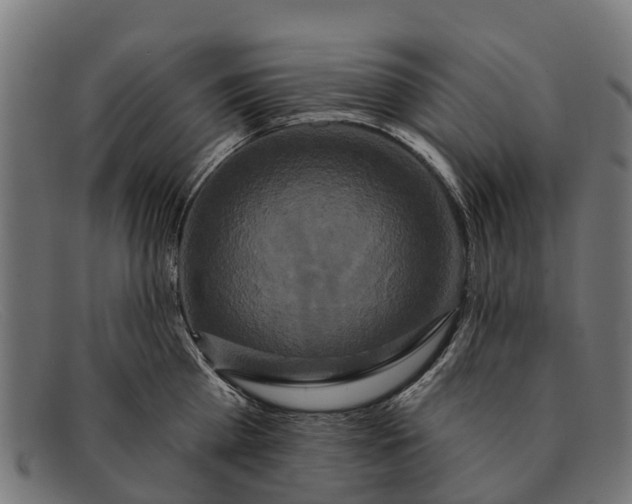 X0000091640809200709131430