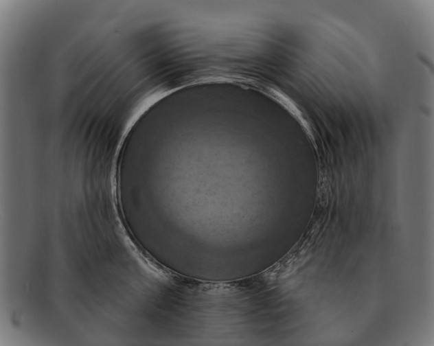 X0000091640811200709131430