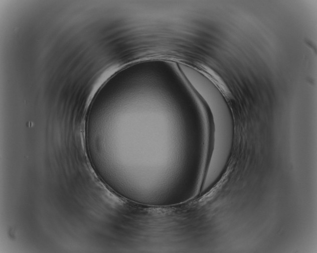 X0000091640812200709131430