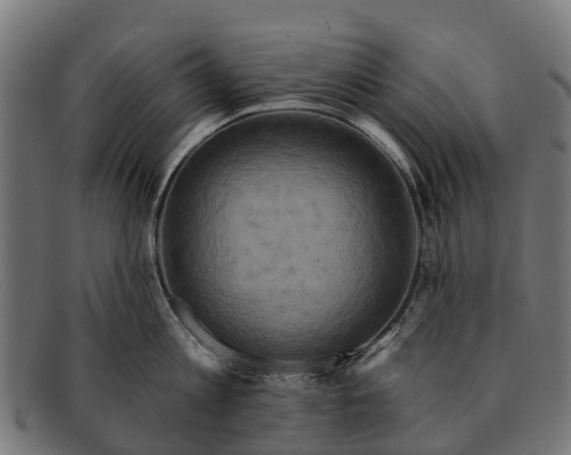 X0000091640813200709131430