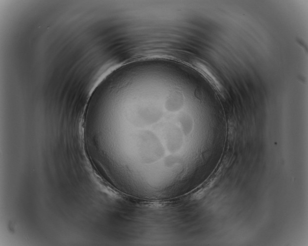 X0000091640814200709131430