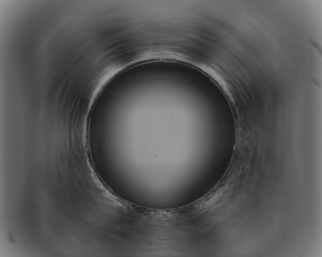 X0000091640815200709131430