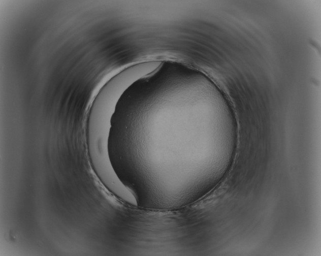 X0000091640816200709131430