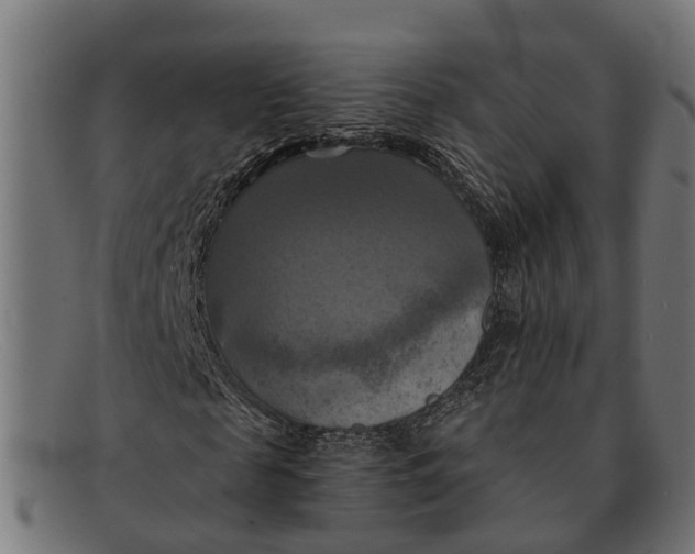 X0000091640817200709131429