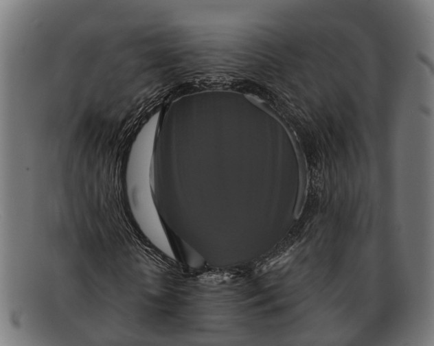 X0000091640818200709131429