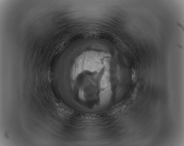 X0000091640819200709131429