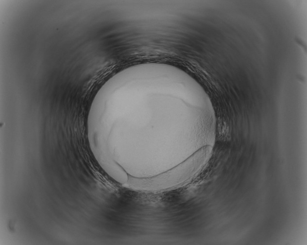 X0000091640820200709131429