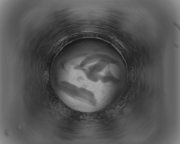X0000091640821200709131429