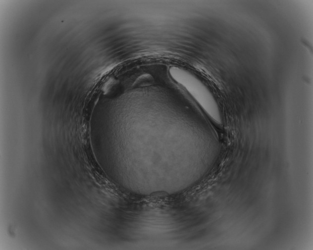 X0000091640822200709131429
