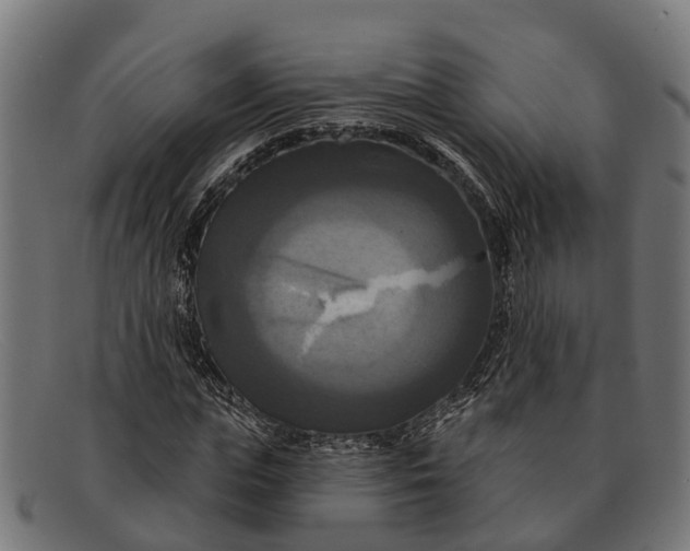 X0000091640823200709131429
