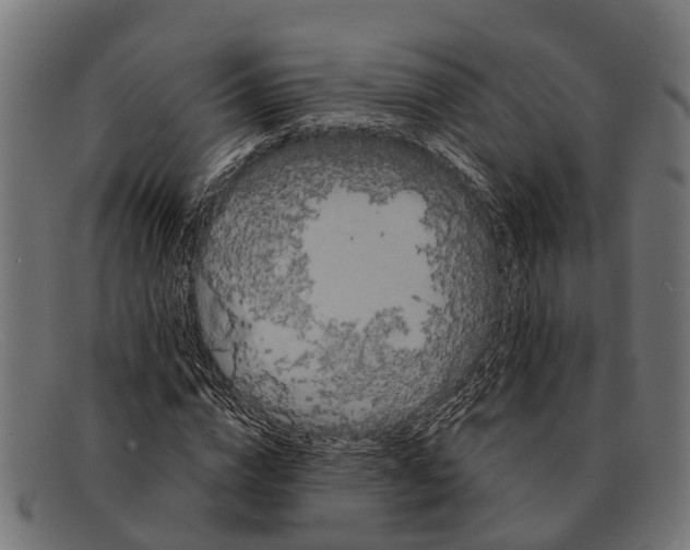 X0000091640824200709131429