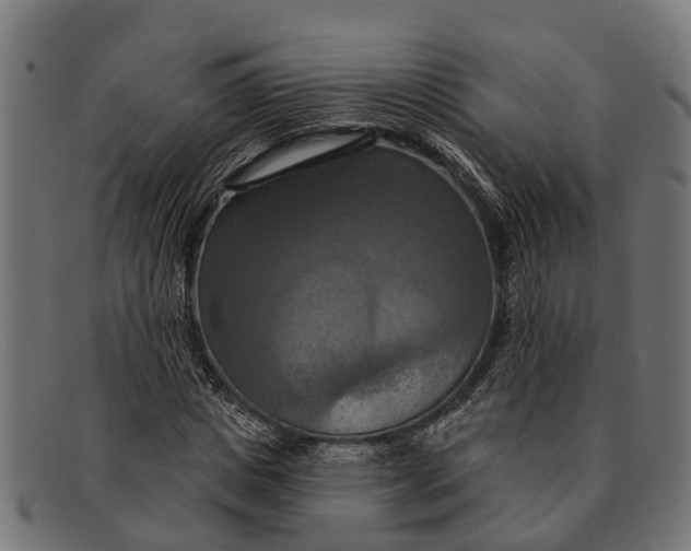 X0000091640825200709131429