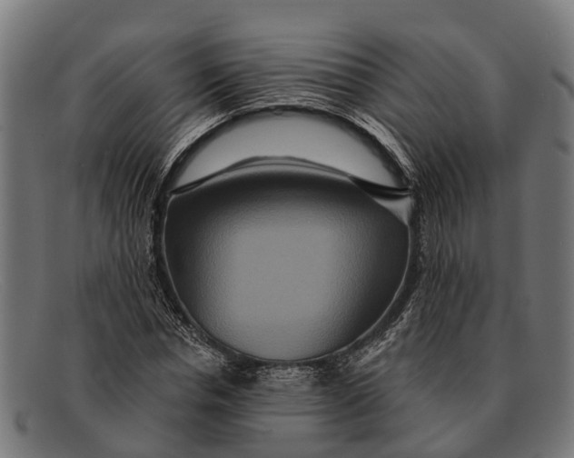 X0000091640826200709131429