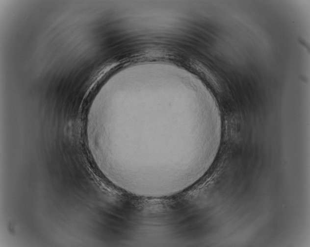 X0000091640828200709131429