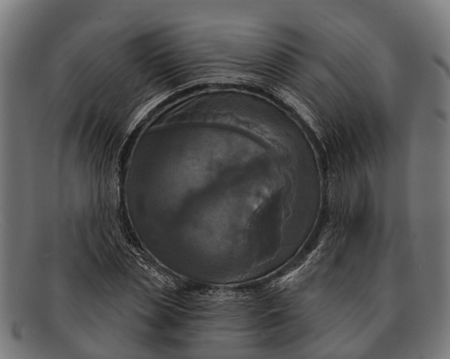 X0000091640829200709131429