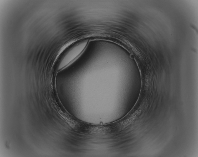 X0000091640830200709131429