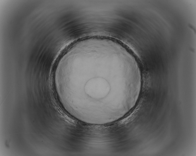 X0000091640832200709131429