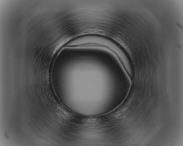 X0000091640834200709131429