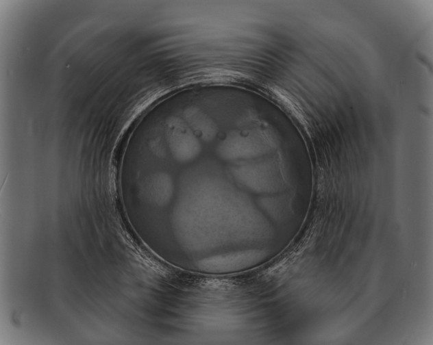 X0000091640835200709131429