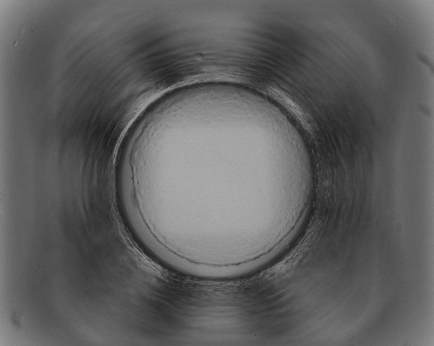 X0000091640836200709131429