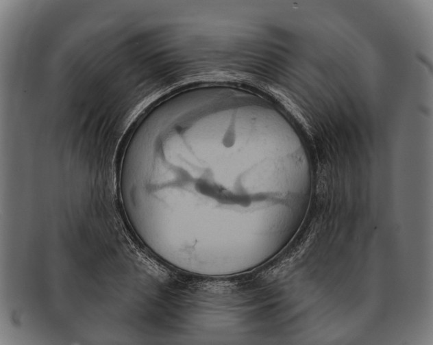 X0000091640837200709131429