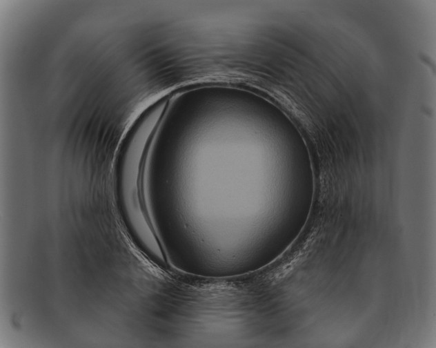 X0000091640838200709131430