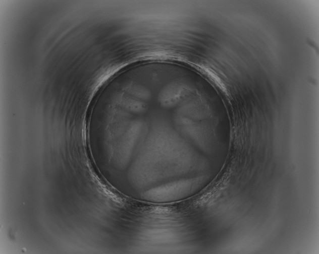 X0000091640839200709131430