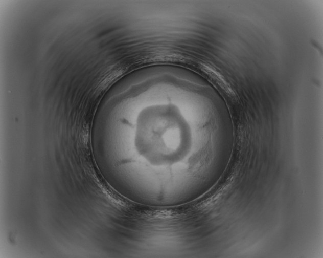 X0000091640841200709131430