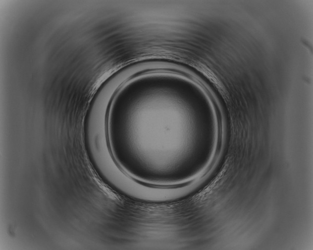 X0000091640842200709131430