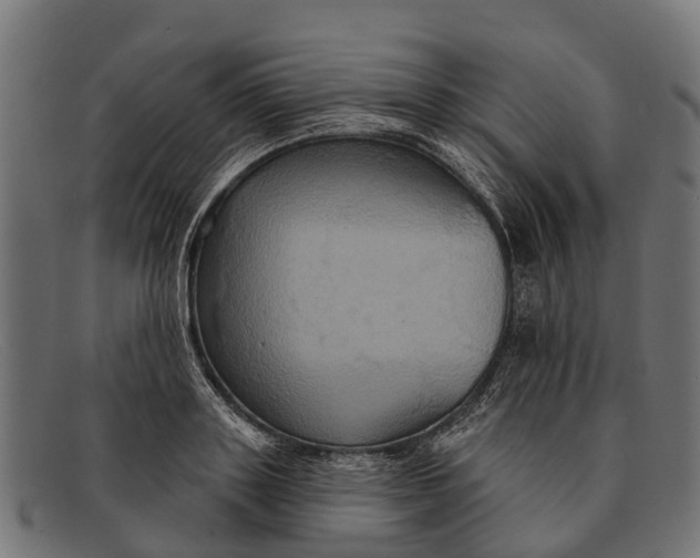 X0000091640843200709131430