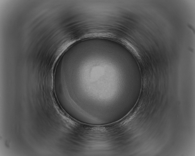X0000091640844200709131430