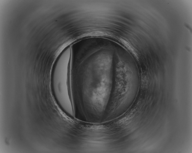 X0000091640845200709131430