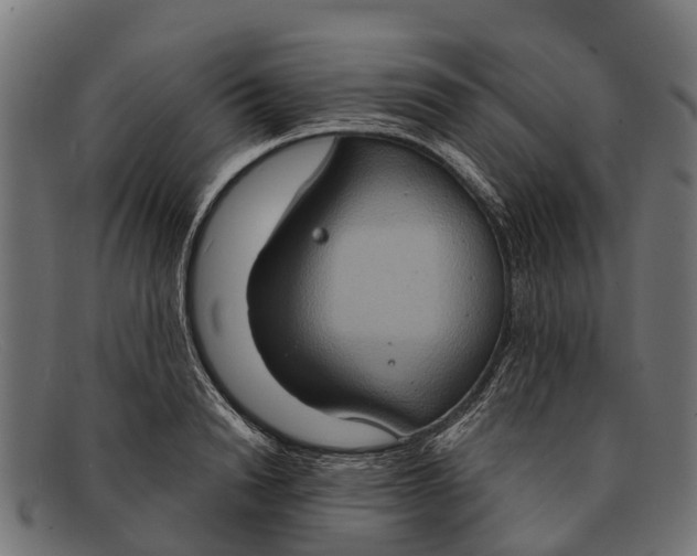 X0000091640846200709131430