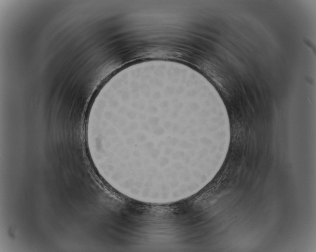 X0000091640848200709131430