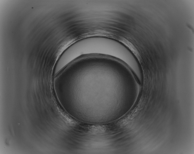 X0000091640850200709131430