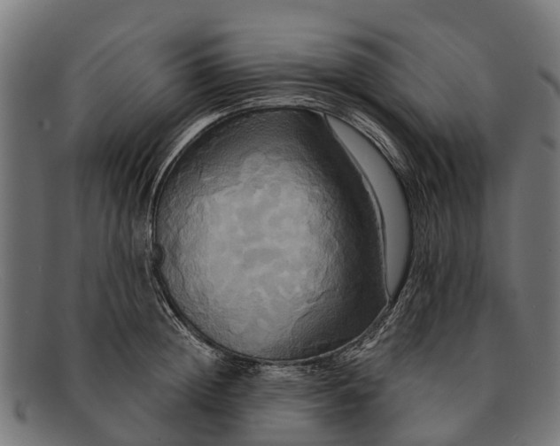 X0000091640852200709131430