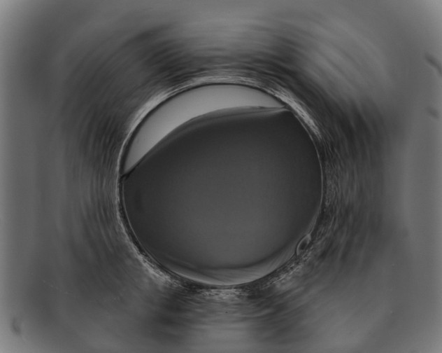 X0000091640853200709131430