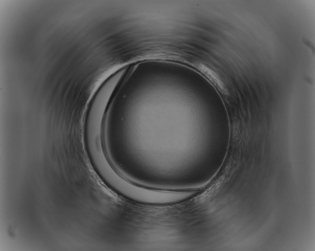 X0000091640854200709131430