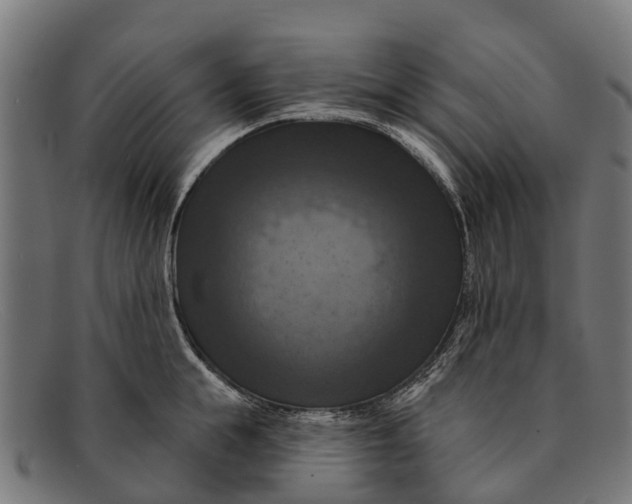 X0000091640855200709131430
