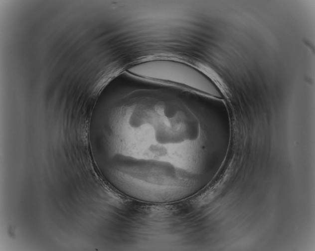 X0000091640857200709131430