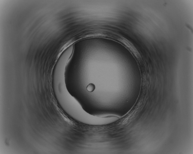 X0000091640858200709131430