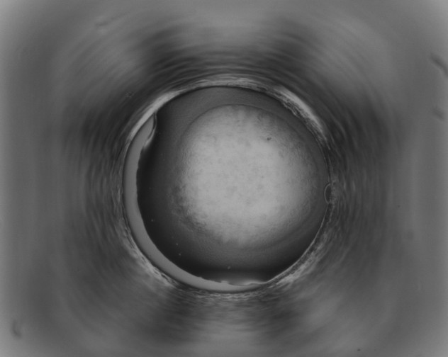 X0000091640860200709131430