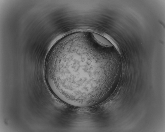 X0000091640861200709131430