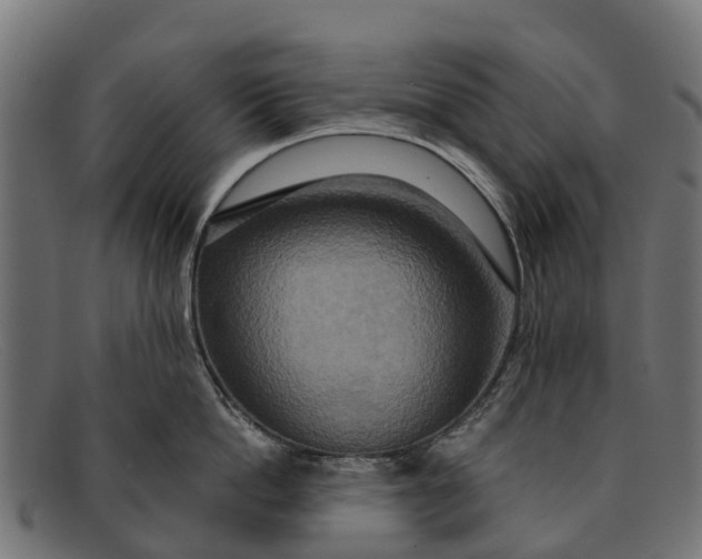 X0000091640862200709131430