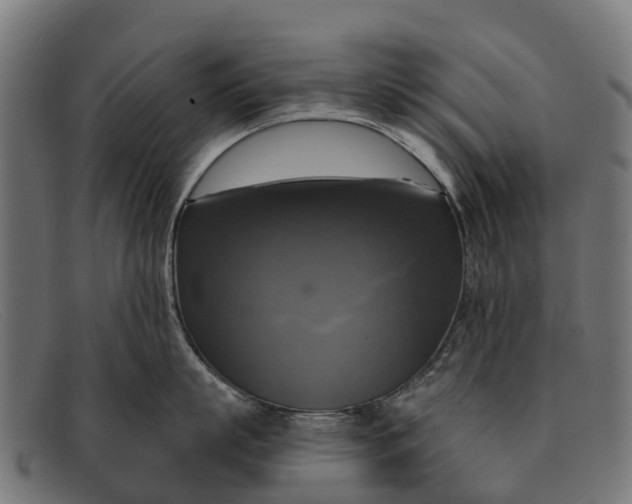 X0000091640863200709131430