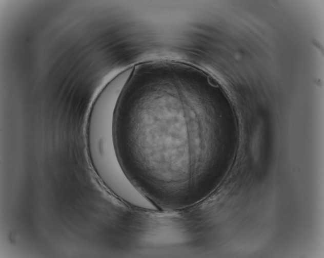 X0000091640864200709131430