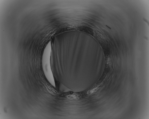 X0000091640868200709131429
